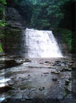 Stony falls.jpg (20315 bytes)